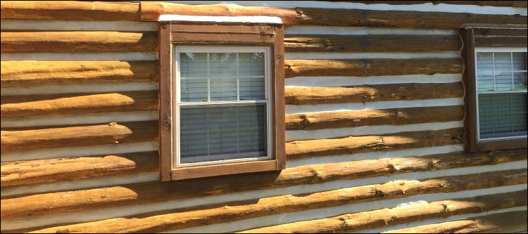 Log Home Whole Log Replacement  Coweta County, Georgia