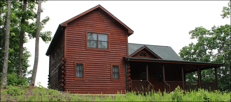 Professional Log Home Borate Application  Coweta County, Georgia